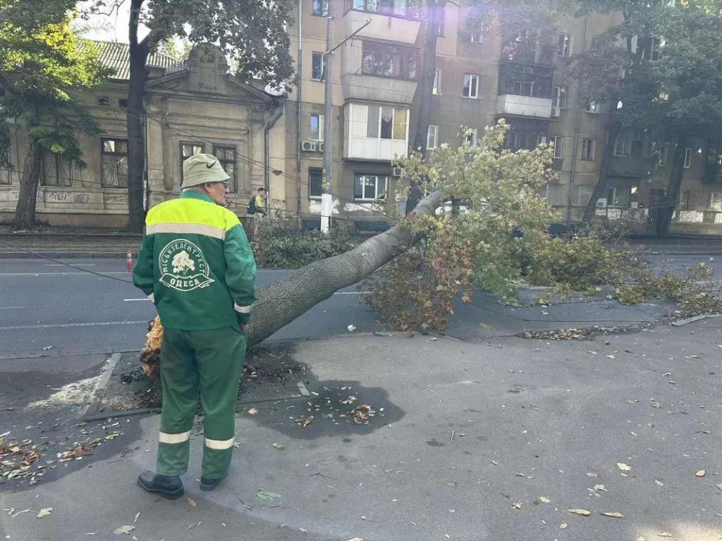 У центрі Одеси дерево перегородило вулицю: рух обмежено