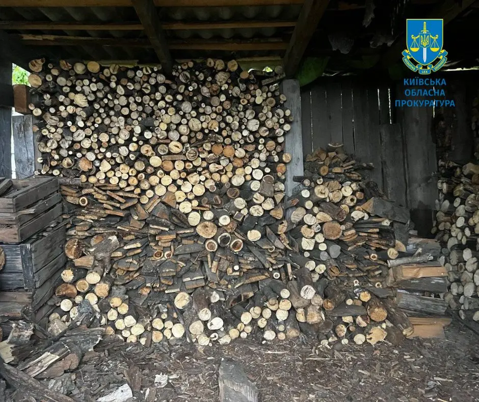 Незаконна порубка лісу: підозрюють посадовців одного з лісництв на Київщині