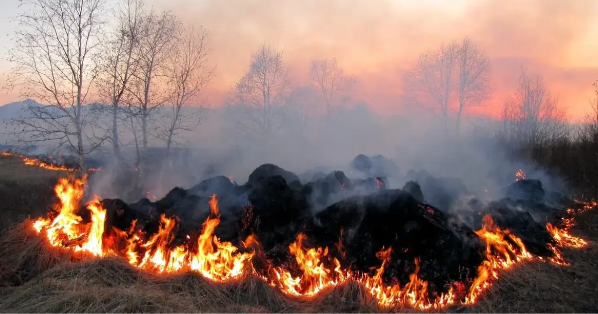 На Вінниччині до 5 вересня очікується надзвичайний рівень пожежної небезпеки