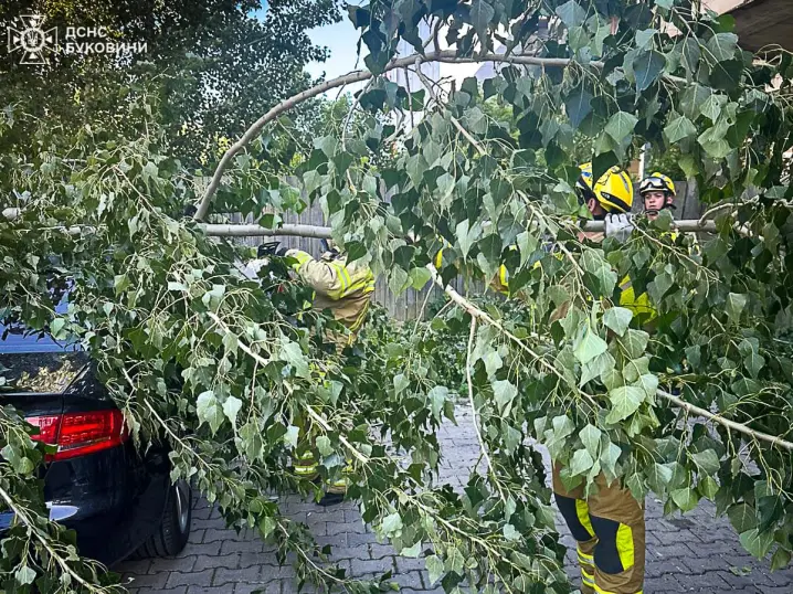 У Чернівцях дерево впало на автомобіль. Рятувальники усували наслідки негоди