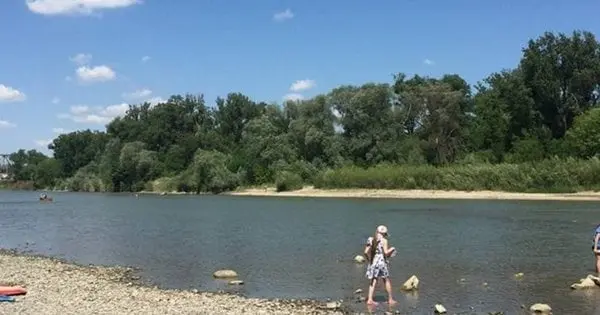 На Буковині визначили безпечні місця для купання