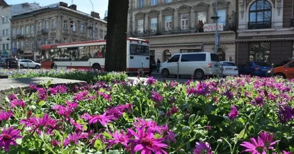 Знову дощ чи вже вийде сонце: яка буде погода на вихідних 12-13 липня  у Львові