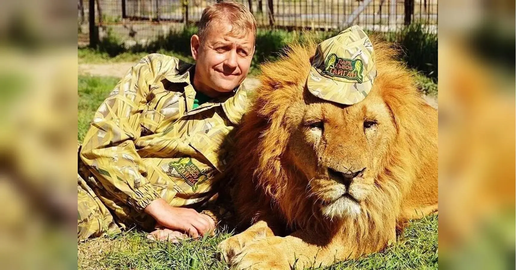 Власник кримських зоопарків Зубков тяжко постраждав внаслідок нападу левів (відео)