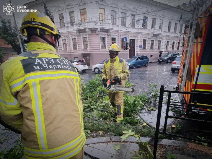 У центрі Чернівців дерево впало на дорогу. Рятувальники розчистили проїзд