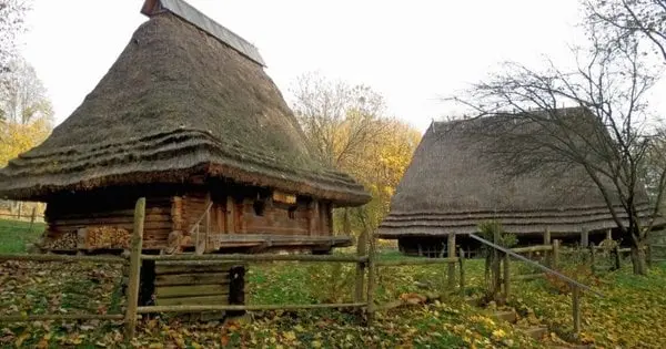 У Шевченківському гаю за 600 тис. грн відновлять дах закарпатської хати середини XIX століття