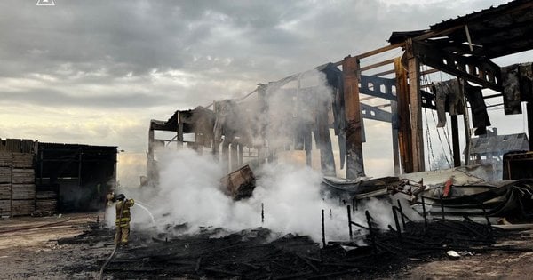 Російський обстріл знищив на Чернігівщині картоплесховище та сільгосптехніку на 50 млн грн