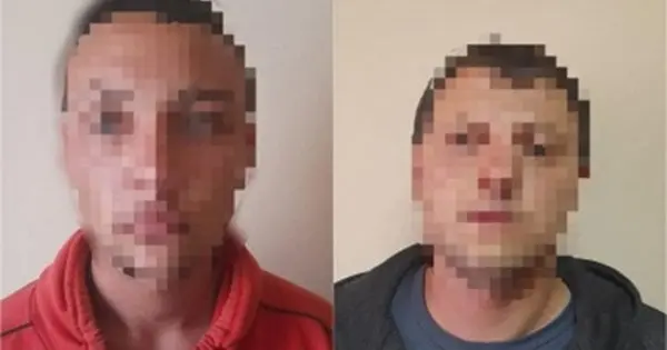 Двоє братів отримали довічне ув'язнення за жорстоке вбивство літнього подружжя з Буковини