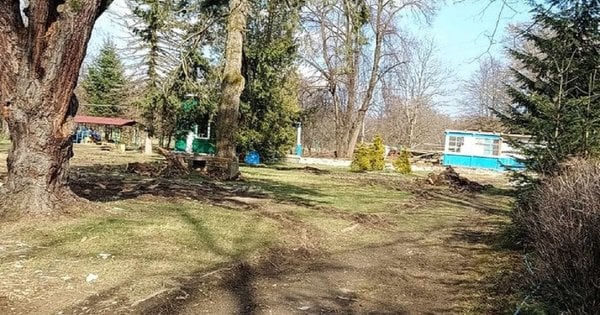 Турбазу на Львівщині за 59 млн грн перебудує фігурант справи про несплату податків