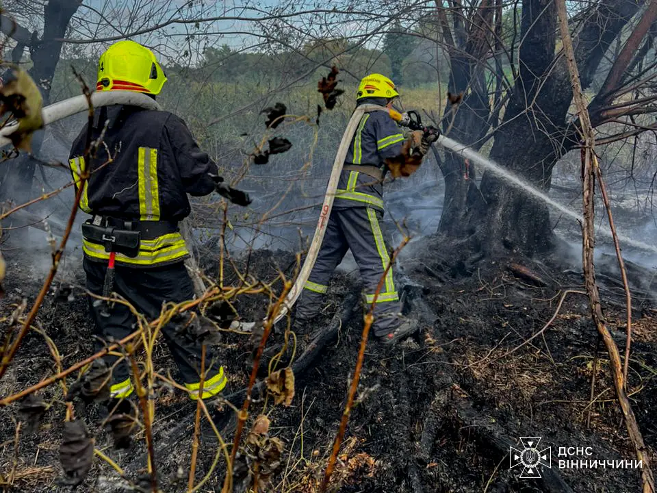 На Вінниччині минулої доби на відкритих територіях сталось 19 пожеж