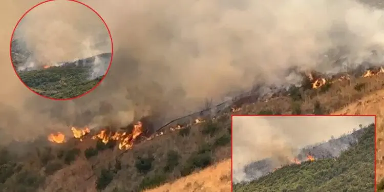 На півдні Албанії троє постраждалих через лісову пожежу