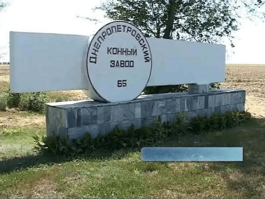 Внаслідок ворожої атаки дронами постраждав кінний завод на Дніпропетровщині