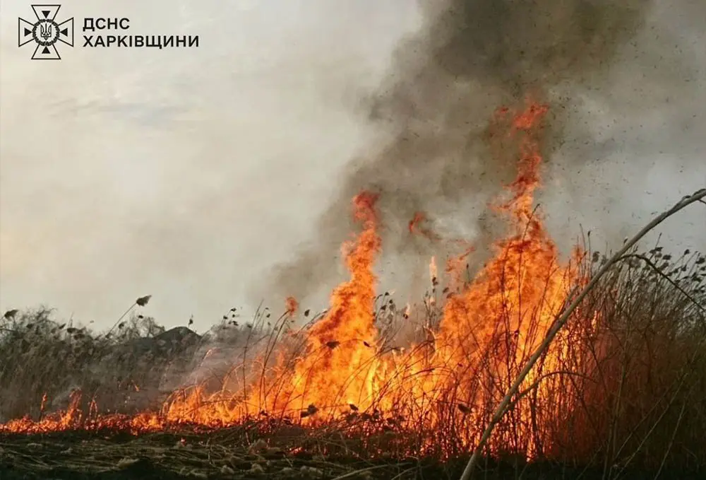 У Богодухівському районі загинула жінка, намагаючись погасити пожежу