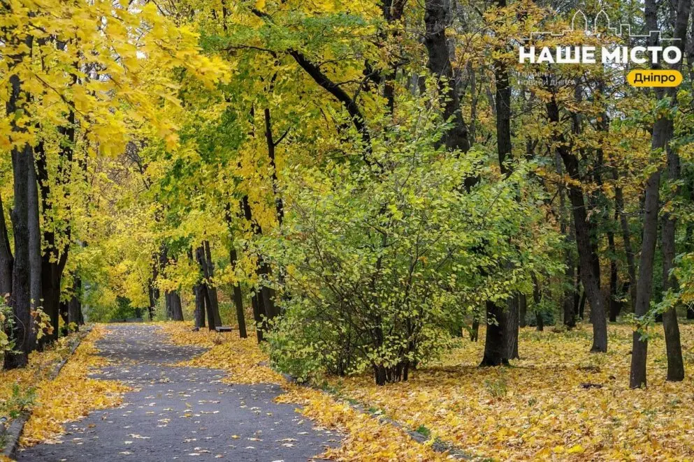 4 жовтня ботанічний сад у Дніпрі святкуватиме День народження: програма
