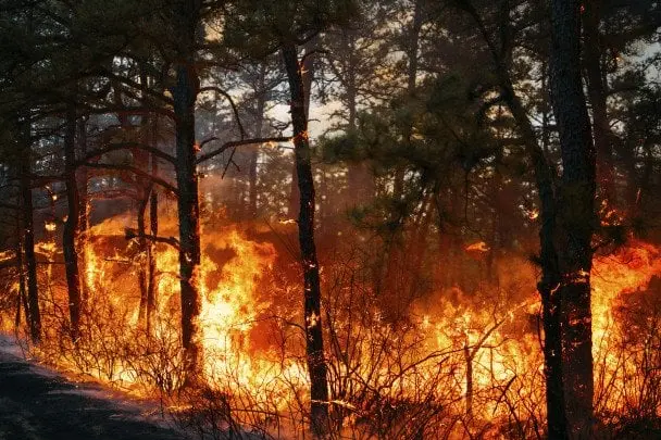 В Києві та області оголосили надзвичайний рівень небезпеки: що сталося
