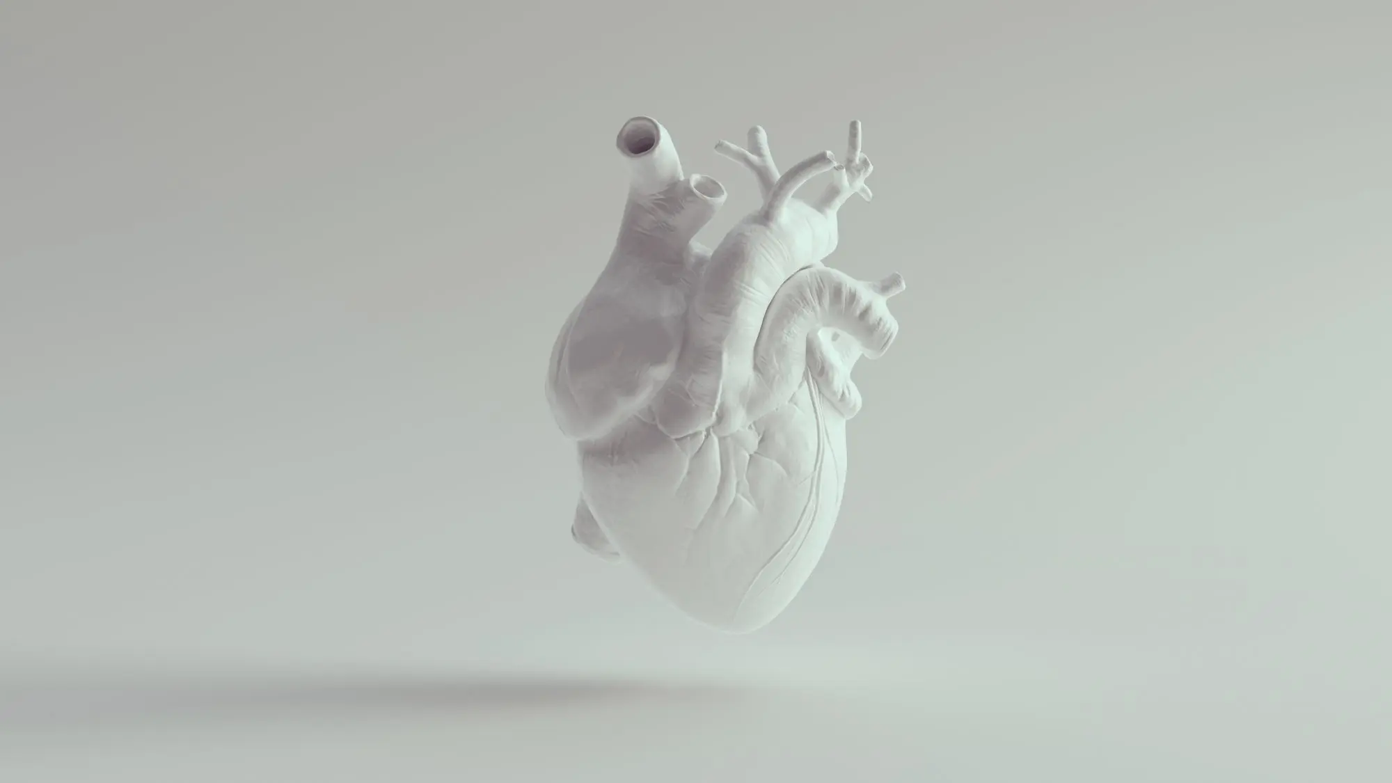 Литовський стартап Vital3D представив перший у світі біодрукований пластир для тварин