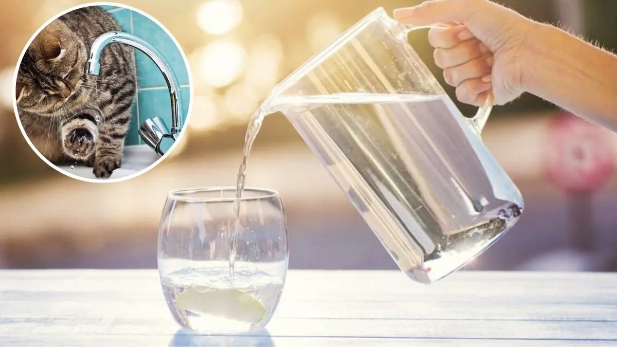 Де у Дніпрі 25 вересня відключили воду: перелік адрес