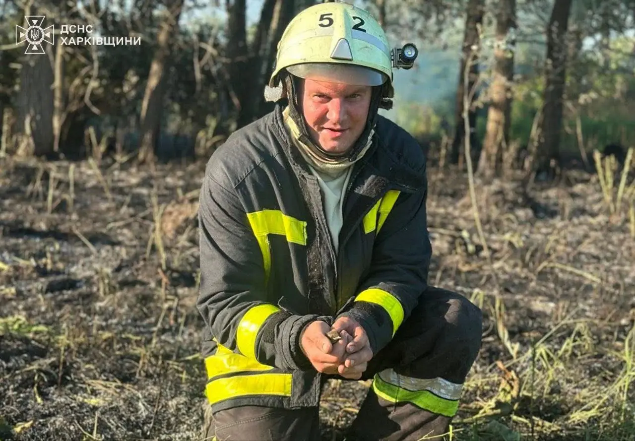 Пташеня врятували під час пожежі на Харківщині (фото)