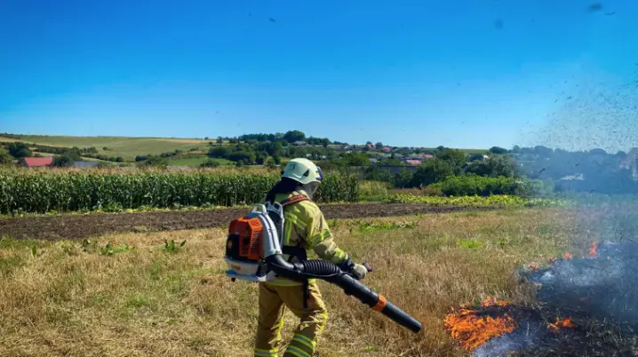 За добу на Буковині внаслідок підпалів вигоріло 5 гектарів землі