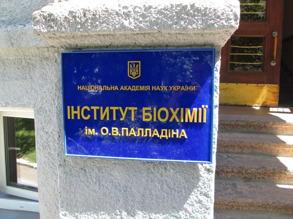 Зображення
