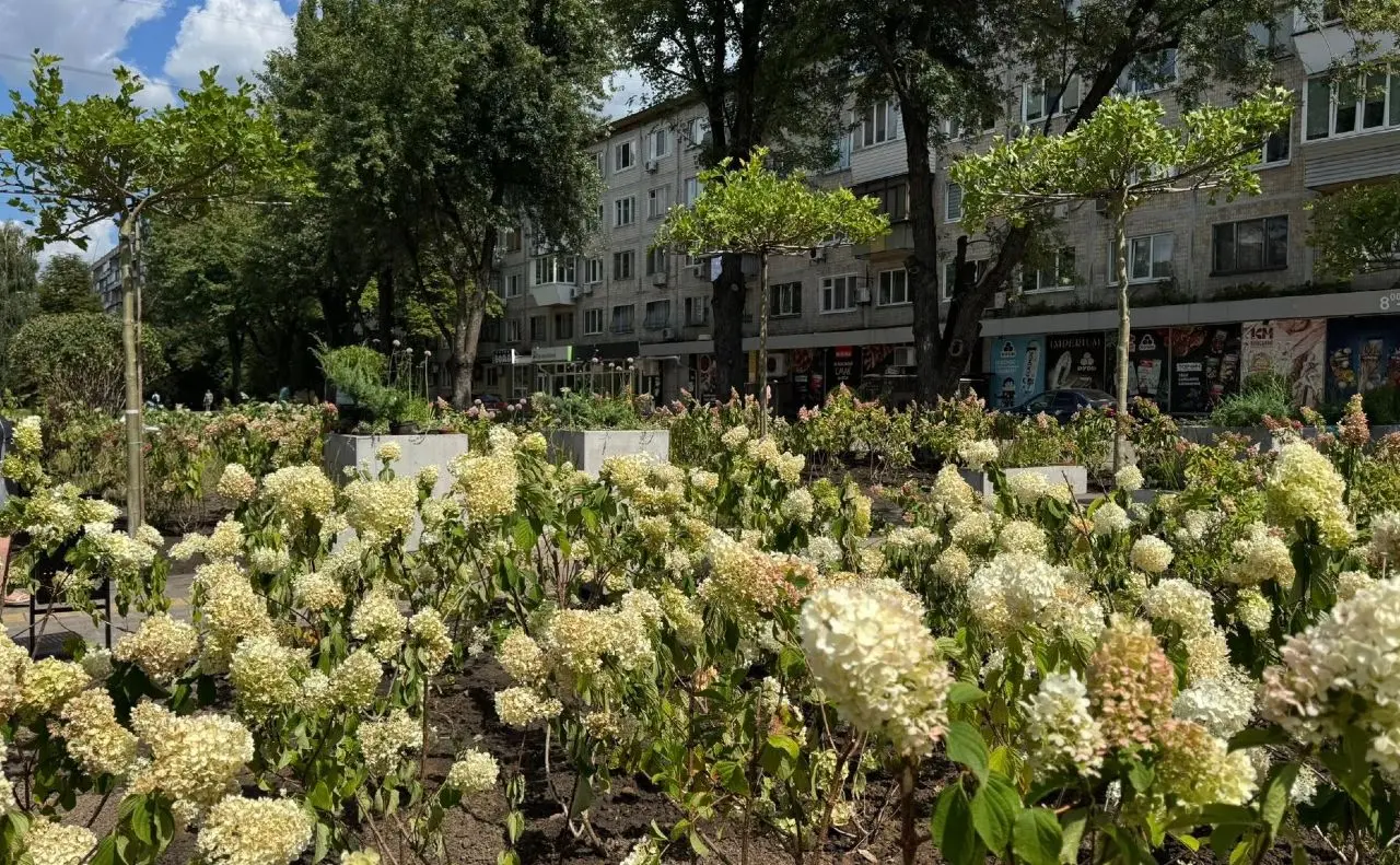 Замість кіосків у Подільському районі з’явився квітучий сквер