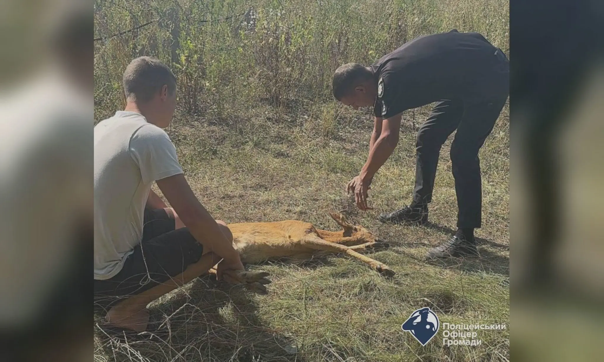 Герой-рядовий: Поліцейський врятував козулю у Харківській області