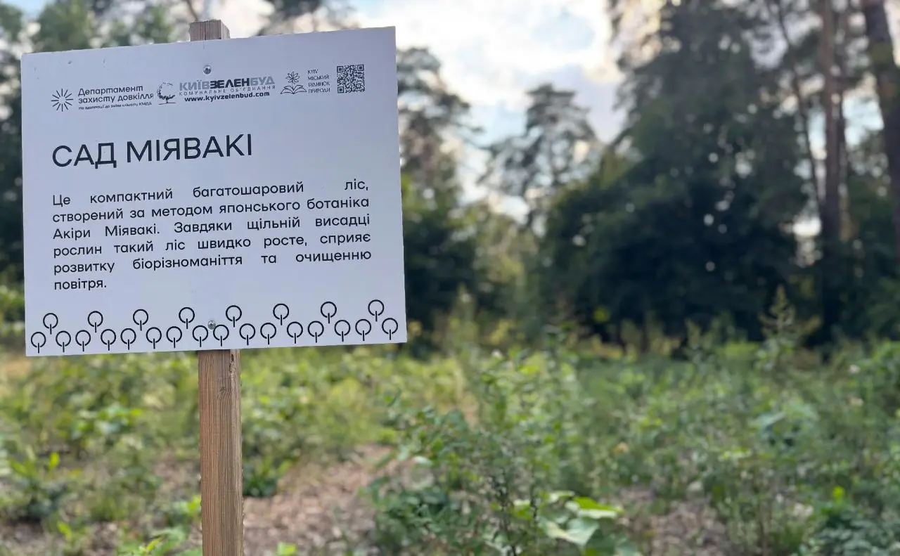 У київському парку створили «сад Міявакі»: у чому особливість