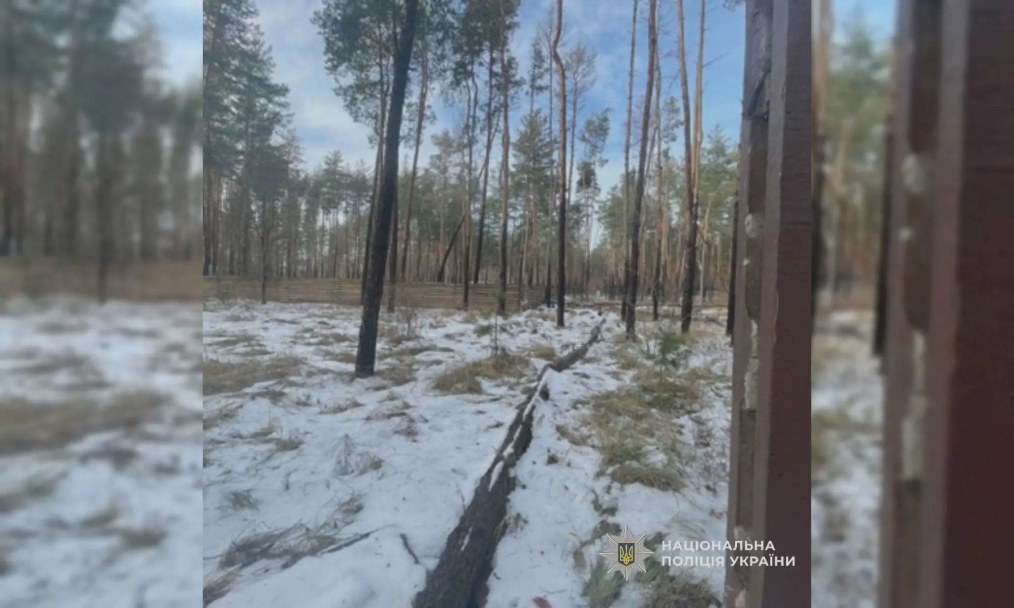 Земельні махінації на Харківщині: чому громада недоотримала 15 мільйонів