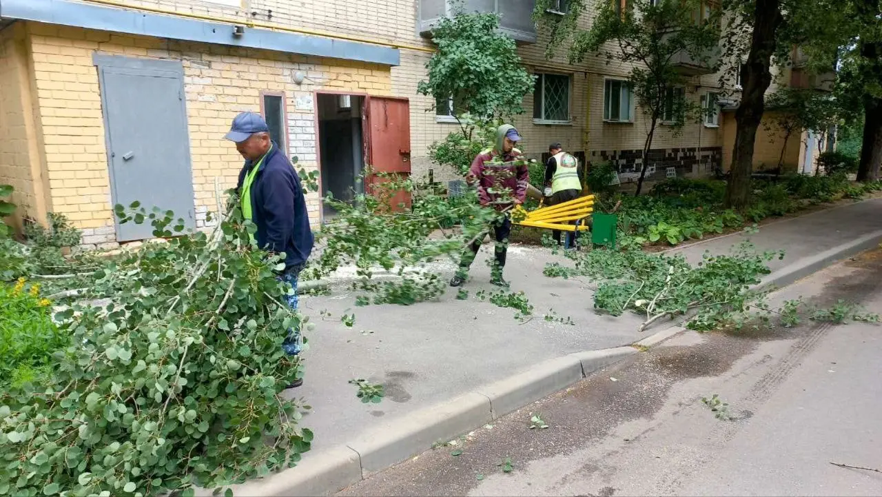 Наслідки негоди в Харкові: 33 дерева вітер пошкодив у місті (фото)