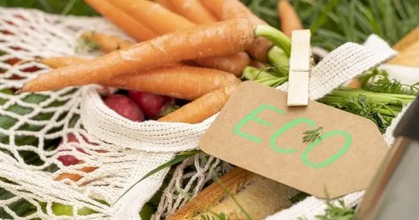 Еко-продукти чи екопродукти: як правильно писати за новим правописом