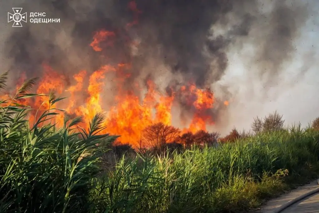 На Одещині за тиждень згоріло понад 345 га землі (фото)