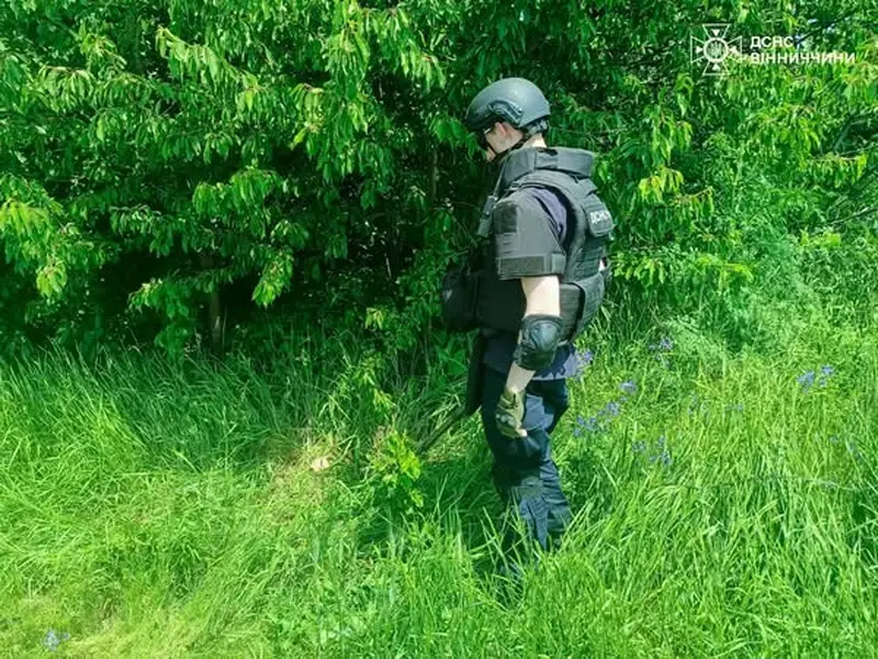 На Вінниччині у лісосмузі сапери знешкодили міну часів Другої світової війни