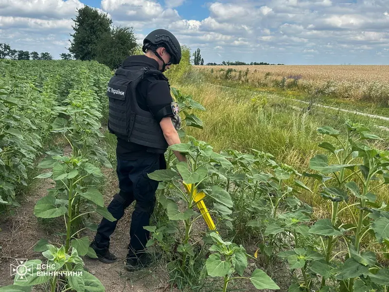 На Вінниччині сапери знищили п’ять боєприпасів часів Другої світової війни