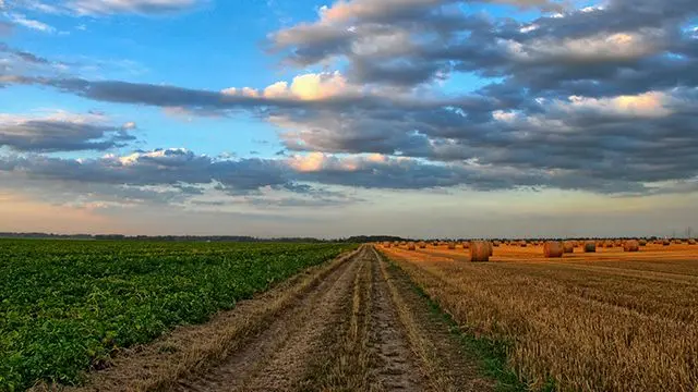 На Київщині викрито схему заволодіння землею на підставних осіб