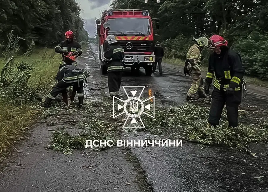 Негода на Вінниччині: повалені на дорогу дерева та підтоплення підвалів