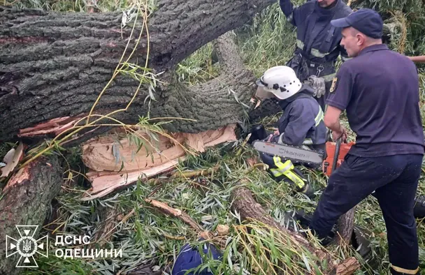 На Одещині дерево впало на намет з дітьми — є загиблі (фото)