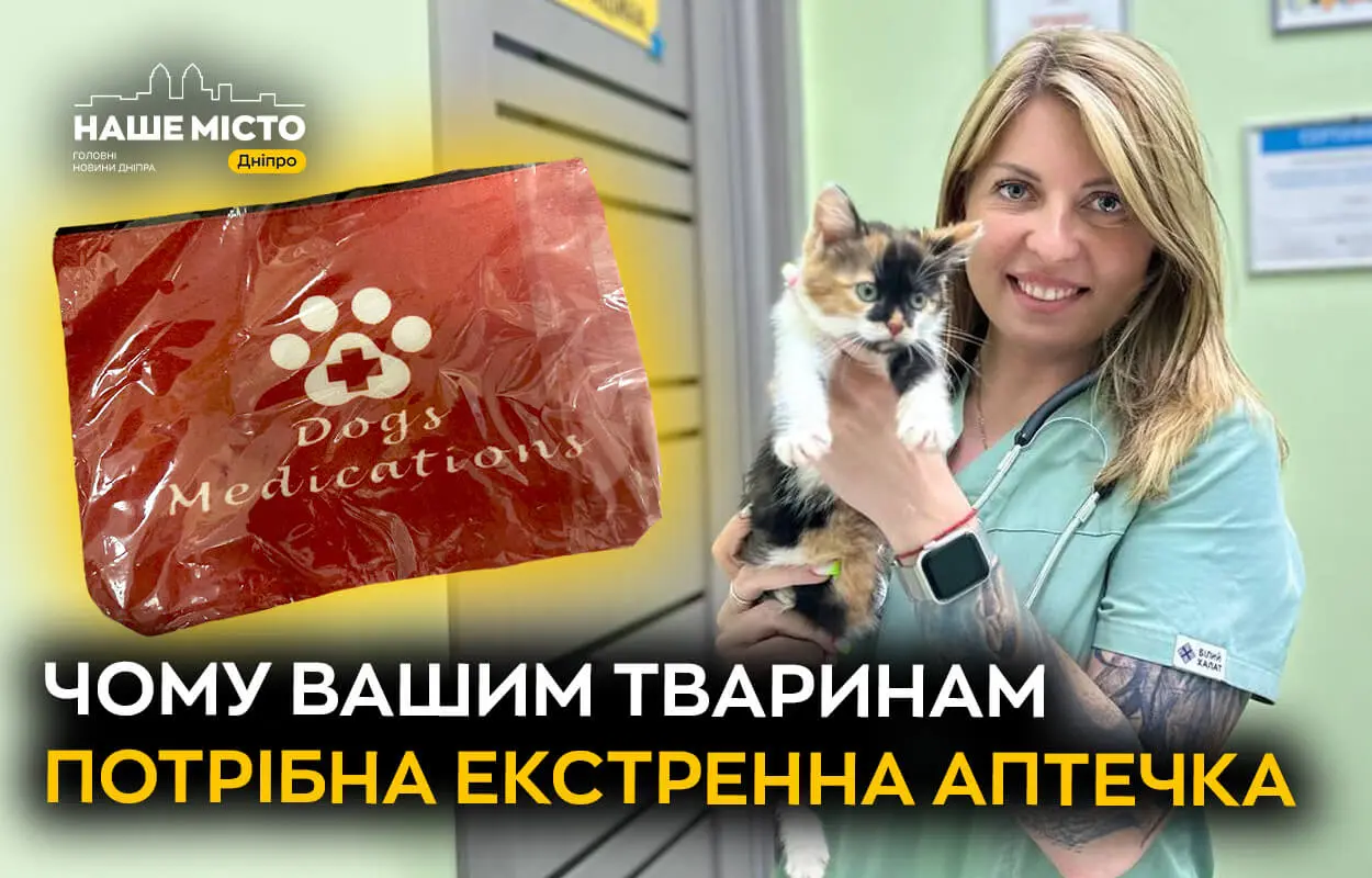 Ветлікарка з Дніпра розповіла, чому вашим улюбленцям потрібна аптечка екстренної допомоги