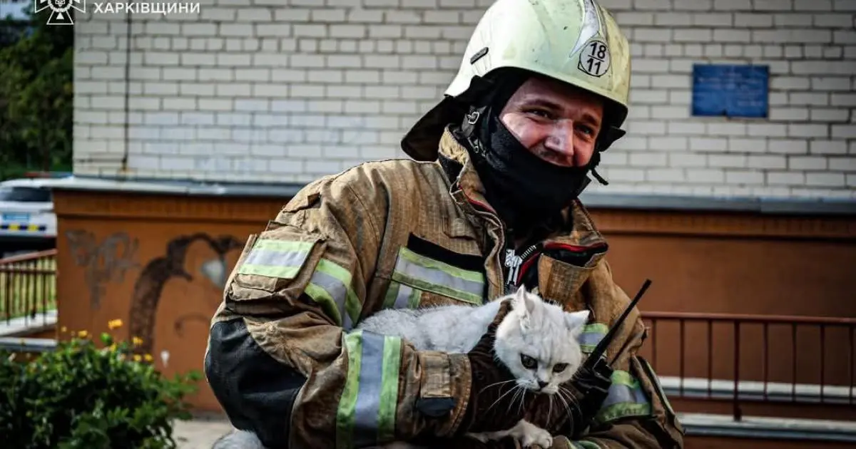 У Харкові з пожежі врятували котів