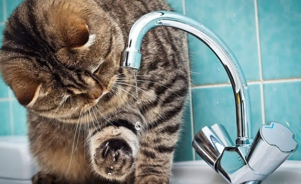 Аварію на водогоні в Одесі ліквідовано: вода повертається до містян