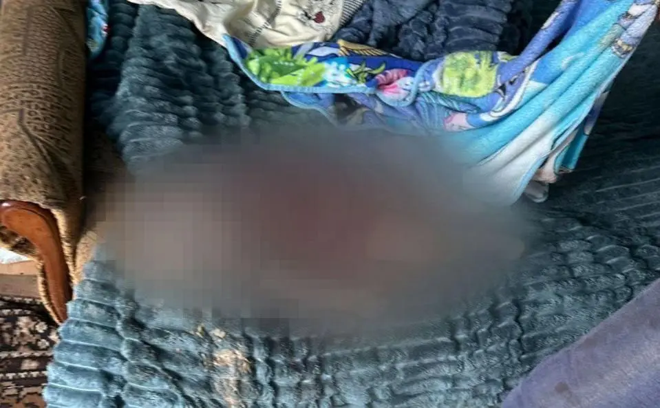 Українські воїни помстилися російським варварам, які вбили однорічну дитину на Херсонщині