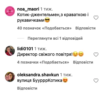 Котик на вулиці Котика: у Львові пухнастий спостерігач підкорює мережу
