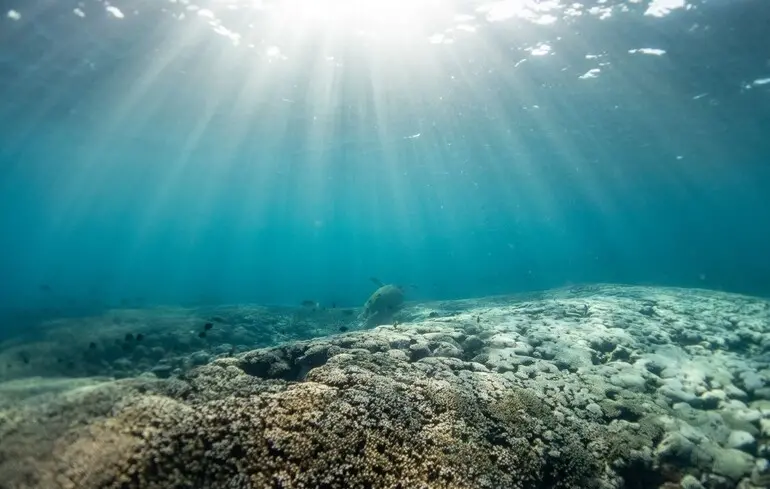 Дослідники виявили підводне плато з рідкоземельними елементами