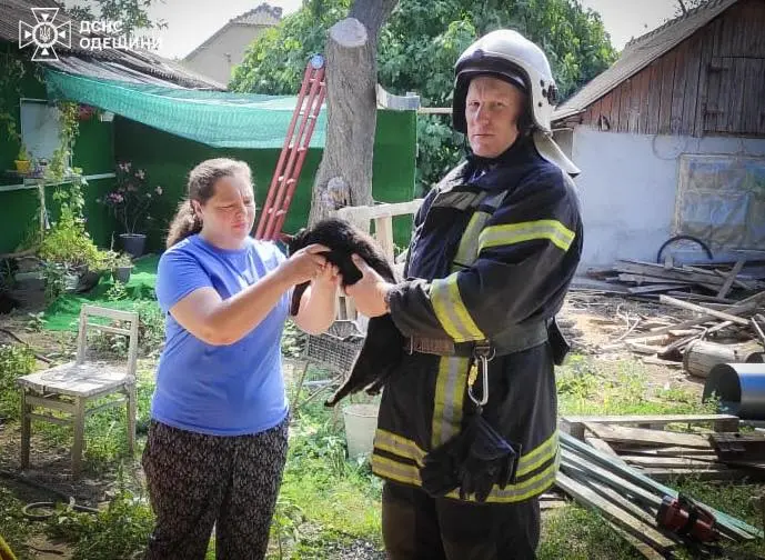 Коти впали в колодязі: вогнеборці врятували двох тварин в Одесі та Ізмаїлі