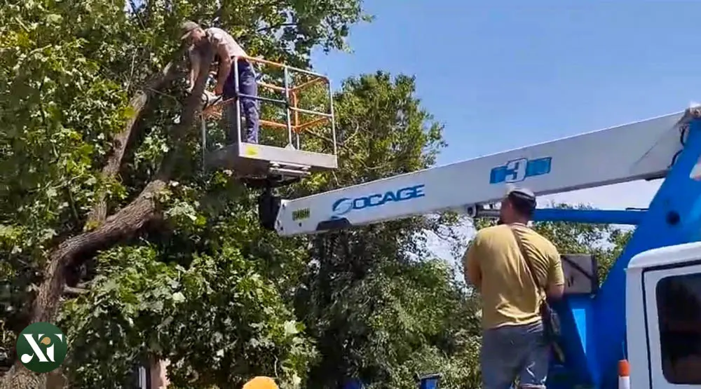 У Харкові триває ліквідація наслідків буревію, який стався вчора в Харкові