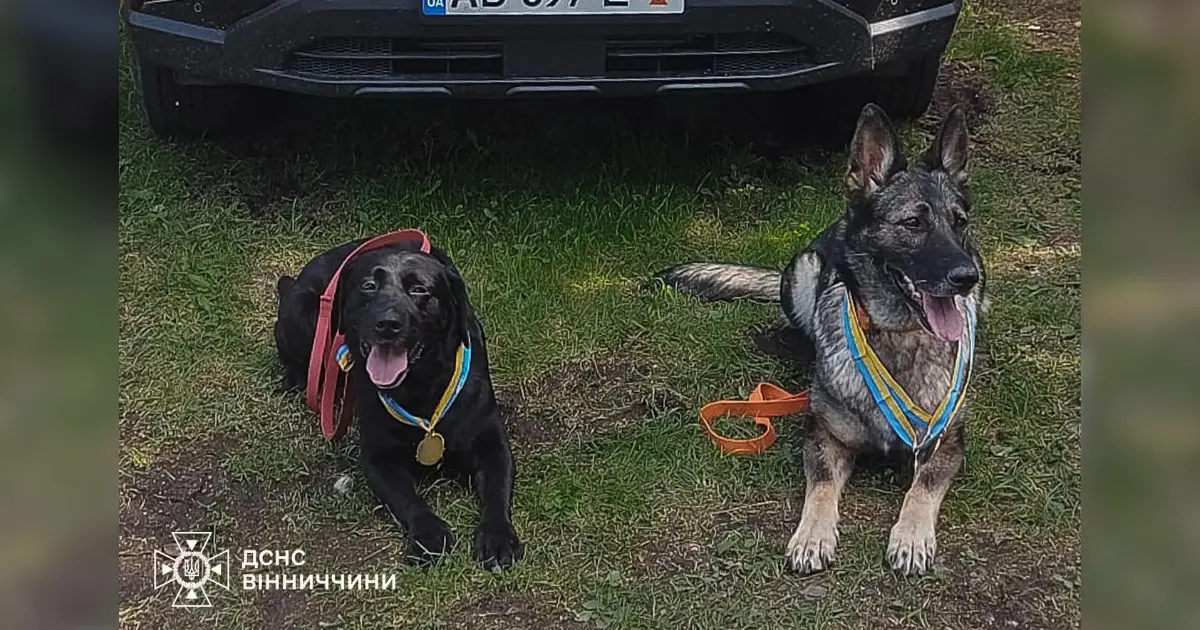 Вінницькі собаки-рятувальники переможці атестації ДСНС