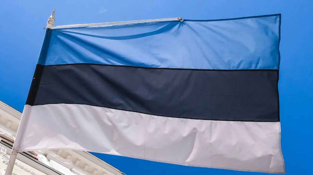 Естонія заявляє, що була готова збивати російські МіГи