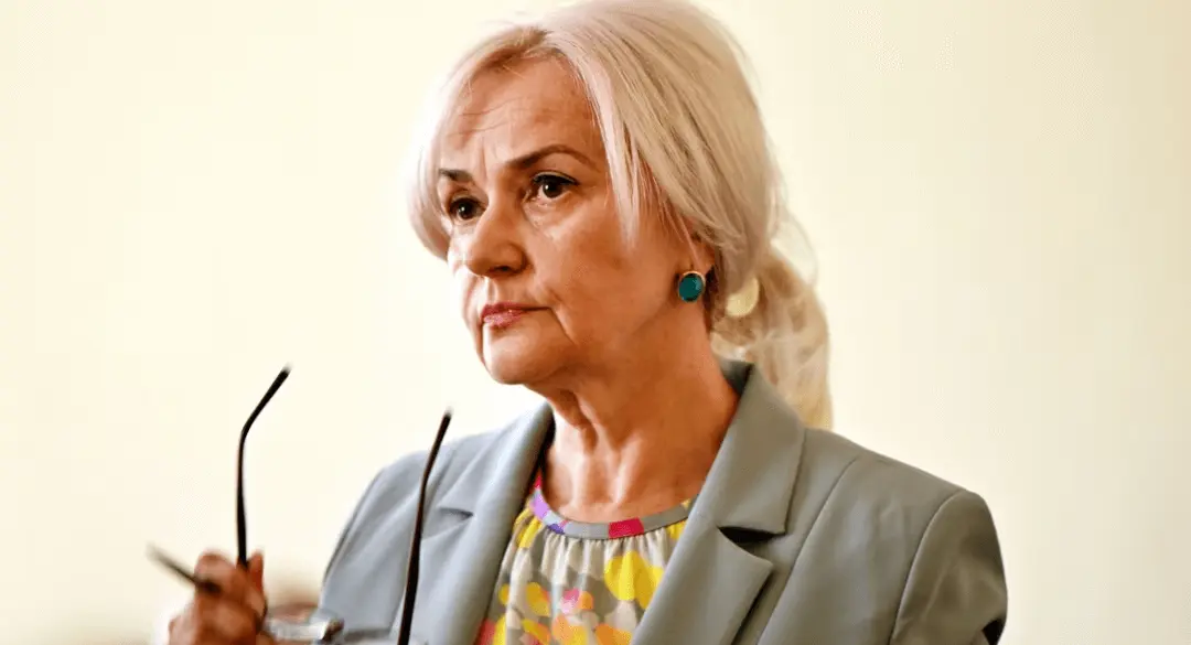 У підозрюваного у вбивстві Ірини Фаріон знайшли досьє на Філатова, Корбана та Стерненка