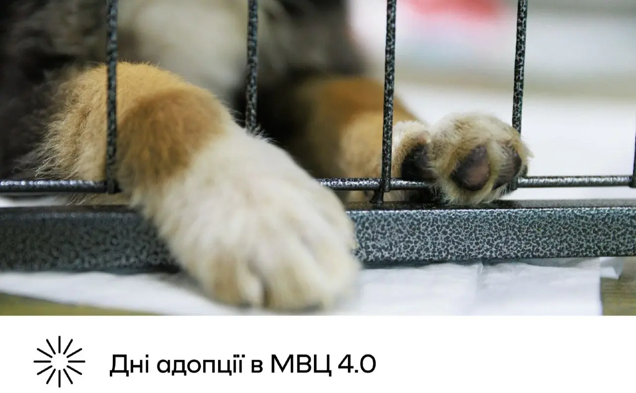 У Міжнародному виставковому центрі відбудеться наймасштабніший в Україні захід з адопції тварин