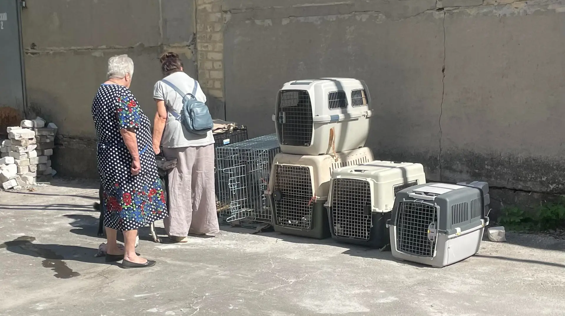 "Краще б нас перестріляли вдома": на Вінниччині селяни виступили проти поселення людей з-під Покровська