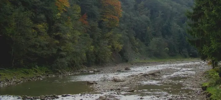 У Пруті зафіксували найнижчий рівень води за всю історію спостережень