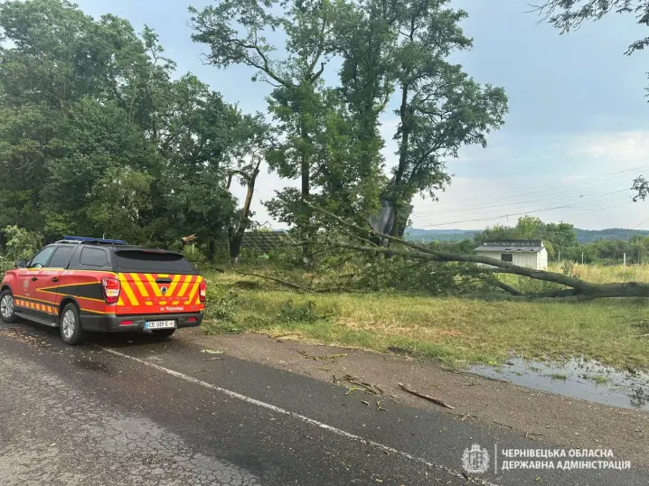 Буревій на Буковині залишив без електропостачання більше 30 тисяч споживачів